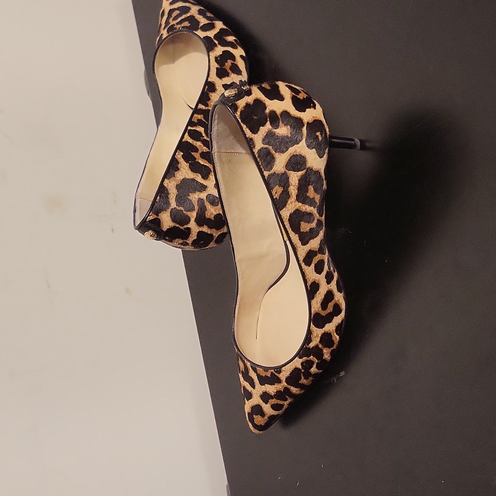 Shoe pump heel